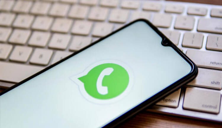 يواصل WhatsApp تحسين أمان المستخدم من خلال اختبار التحقق من البريد الإلكتروني