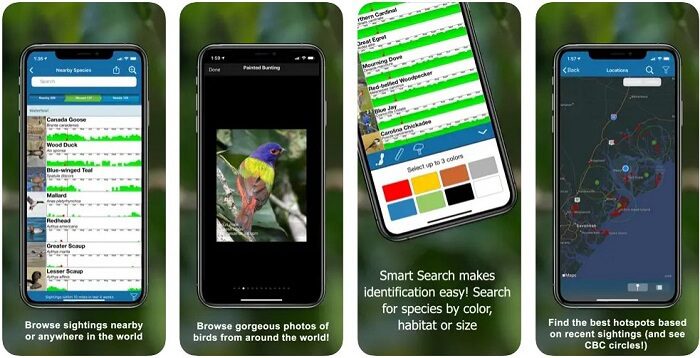 تطبيق BirdsEye " من أفضل تطبيقات لمحبي الطيور على الإطلاق "