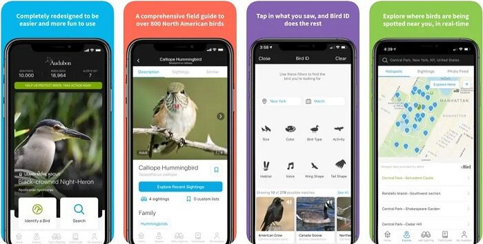 تطبيقات لمحبي الطيور لهواتف الأندرويد والآيفون
