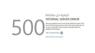 كيفية حل مشكلة 500 internal server error في الشبكة