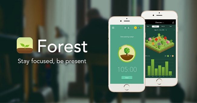 تطبيق Forest