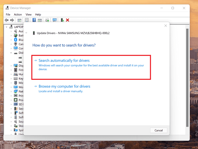 عدم ظهور قرص SSD في نظام التشغيل Windows 11