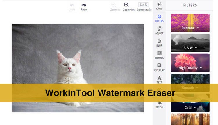WorkinTool Watermark Eraser